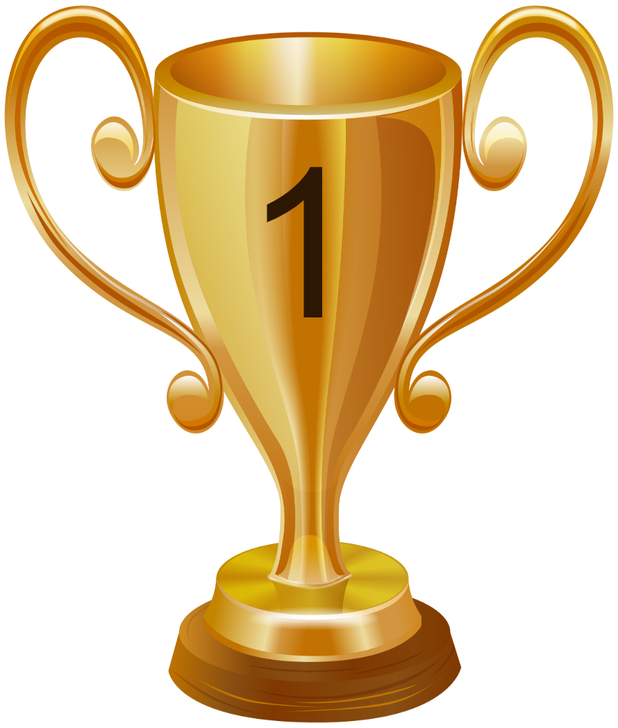 Pokal